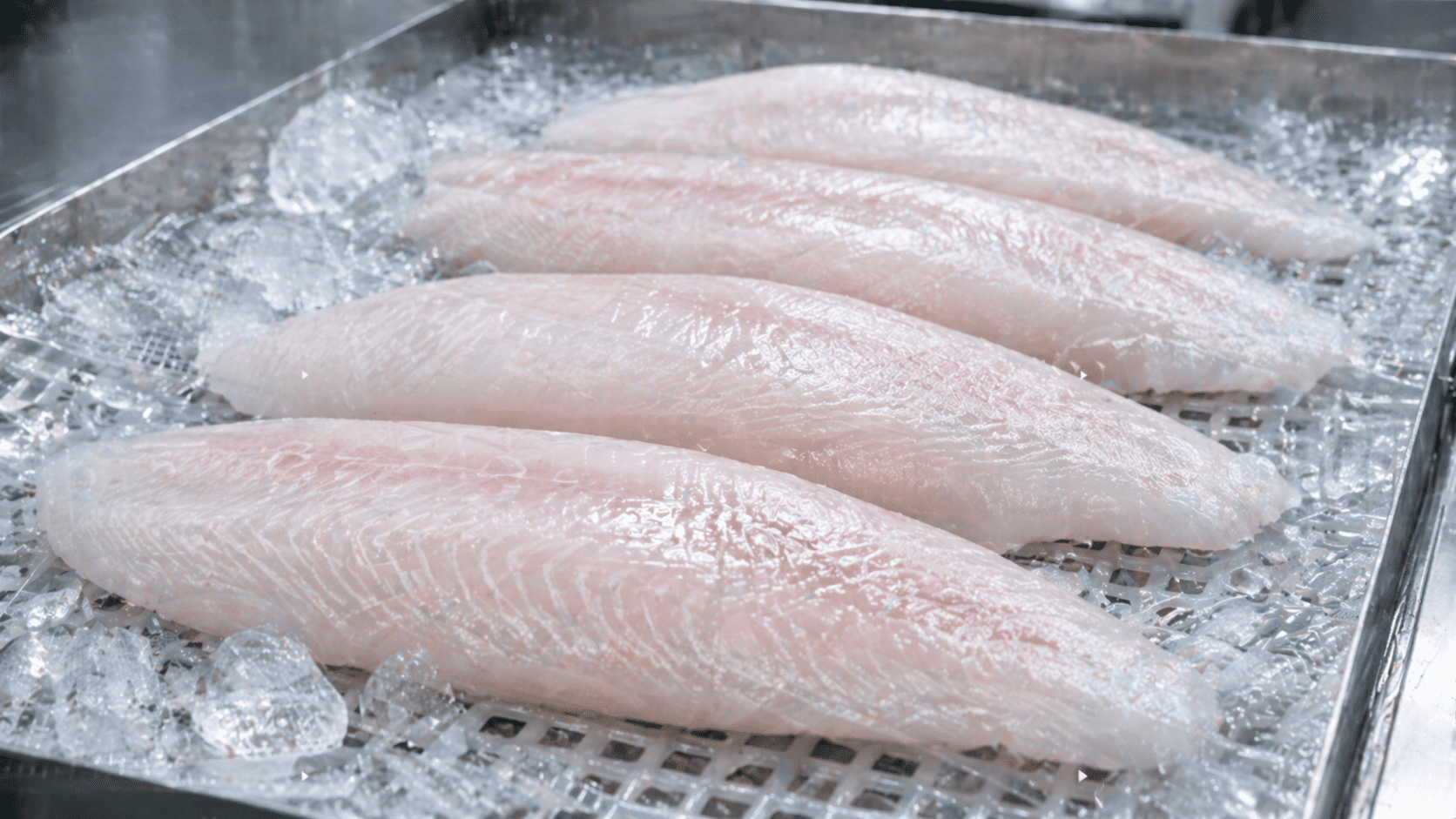 Ikan Dori Fillet Segar