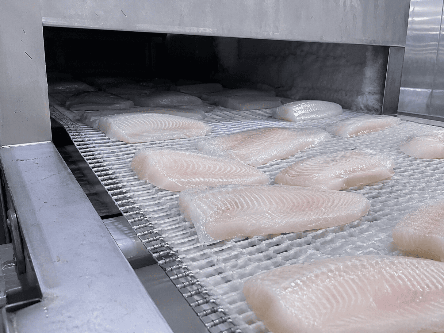 Frozen Fish Glazing